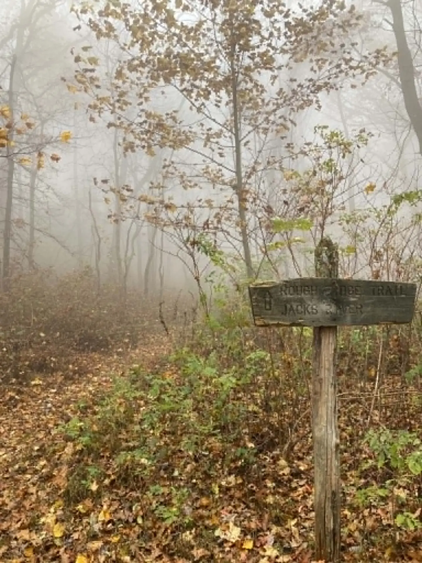 Wooden Rough Ridge Trail and Jacks River sign at the trailhead, fog hanging in the hardwoods