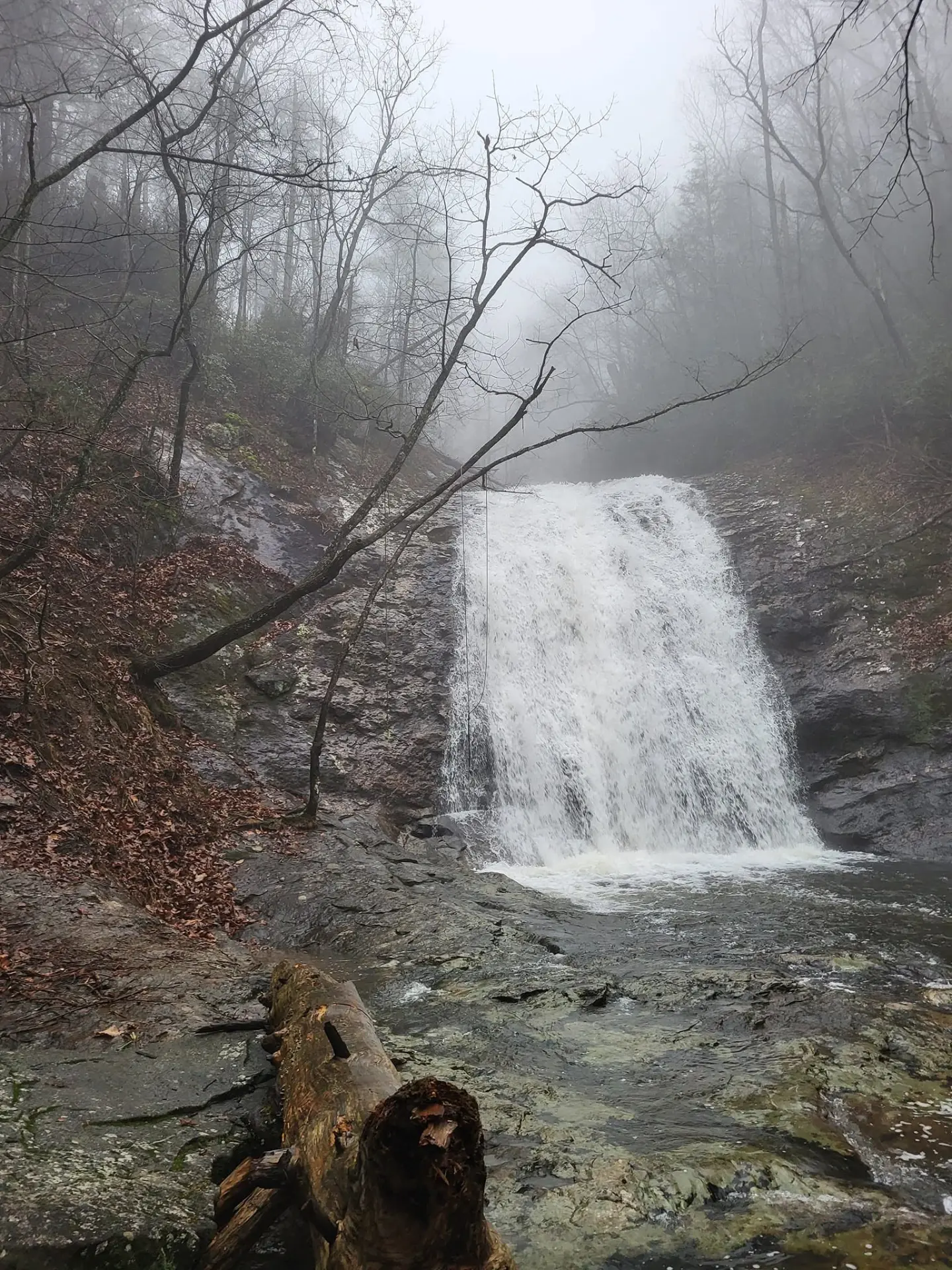 Mill Creek Falls on the Hickey Gap Trail walk, a wide waterfall sliding down a rock face into a green pool, framed by bare winter trees in fog.