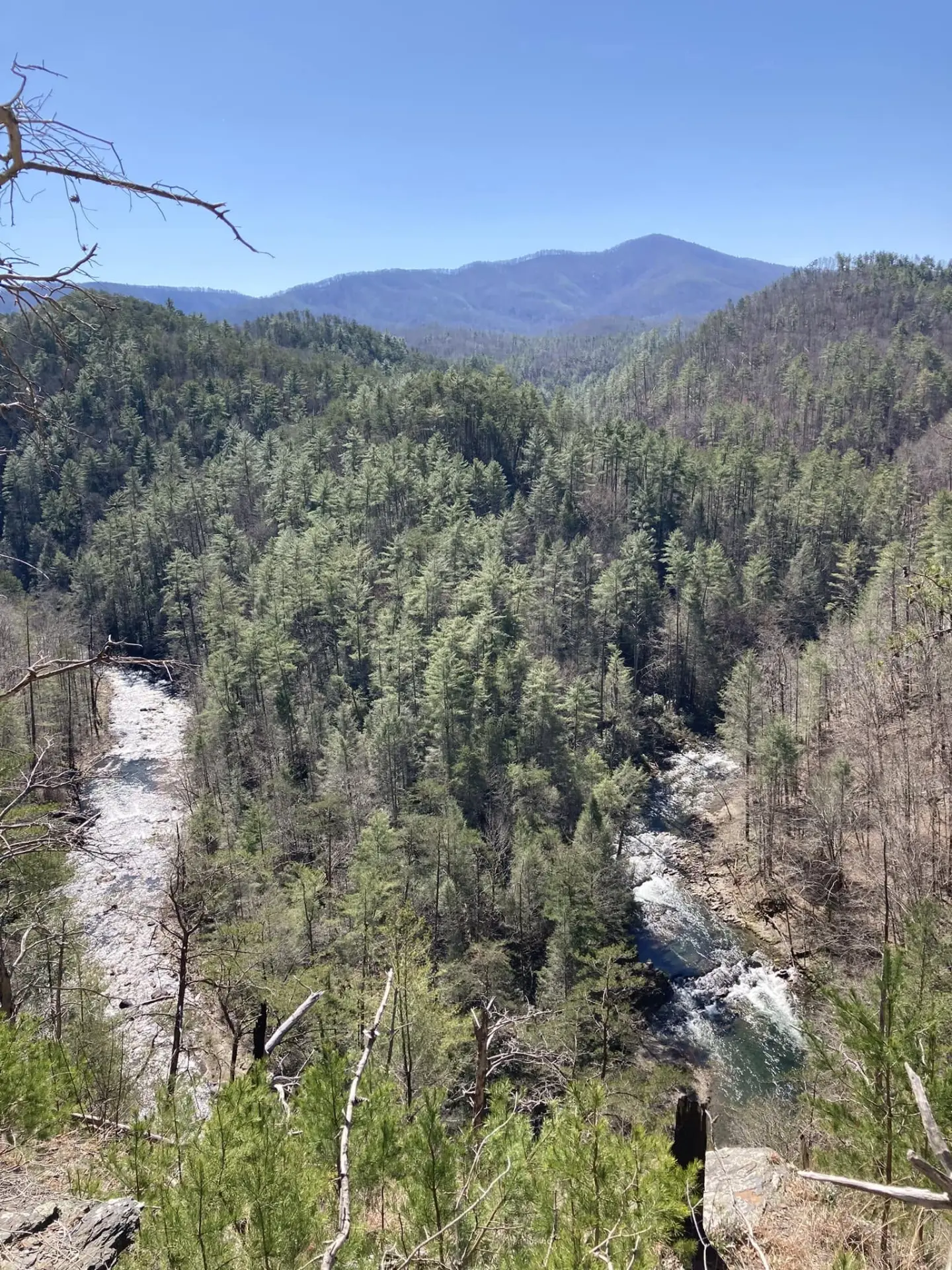 View from above the Jacks River's horseshoe bend, with the river running through a forested gorge and Cowpen Mountain rising in the distance