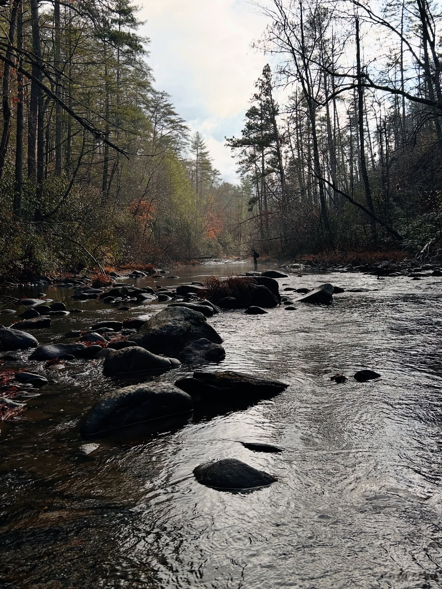 Shallow water flowing over dark rocks in the Jacks River at Beach Bottom, with forested banks and a lone figure wading in the distance.
