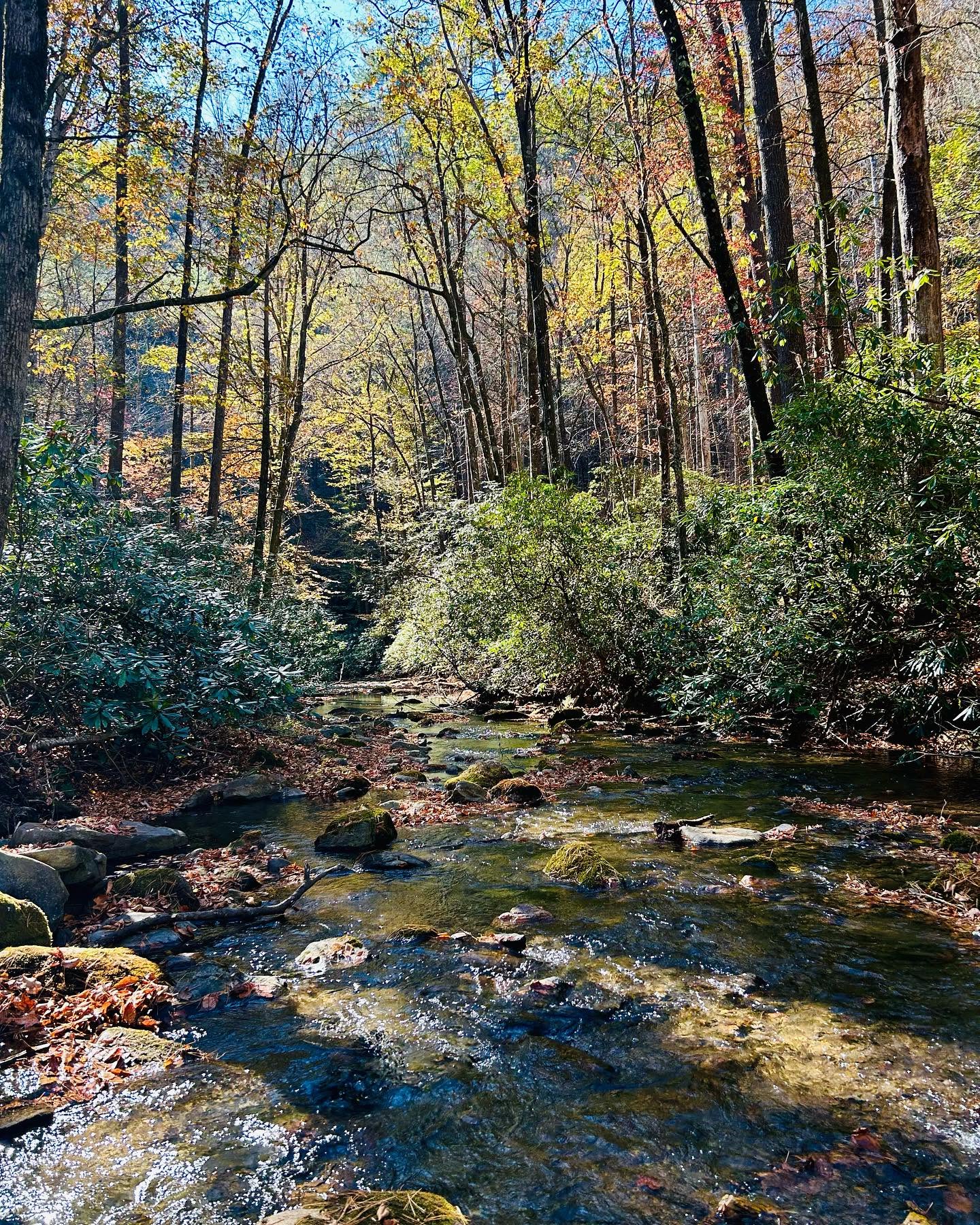 Mountaintown and Bear Creek watershed in the Cohutta Wilderness