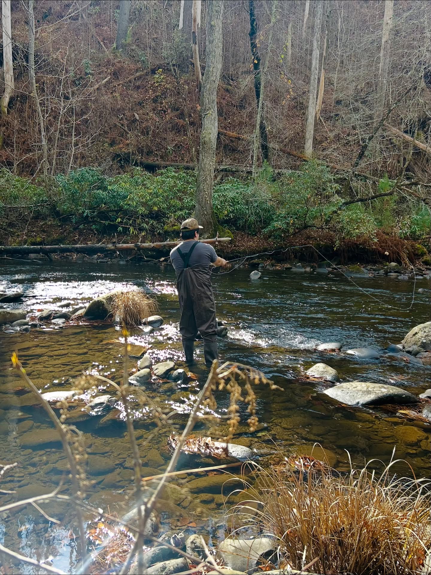 Angler in chest waders casting a fly line across the Jacks River in late fall, with bare trees and rhododendron on the far bank