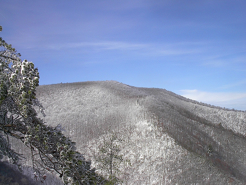 Big Frog watershed in the Cohutta Wilderness