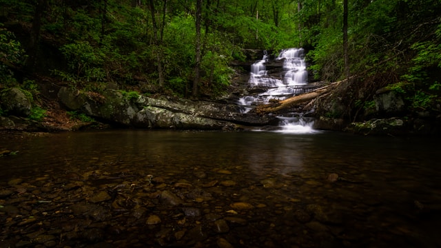 A multi-tiered waterfall on Emery Creek spilling over moss-covered rock shelves into a wide still pool, with a fallen log across the lower drop and dark green forest around it