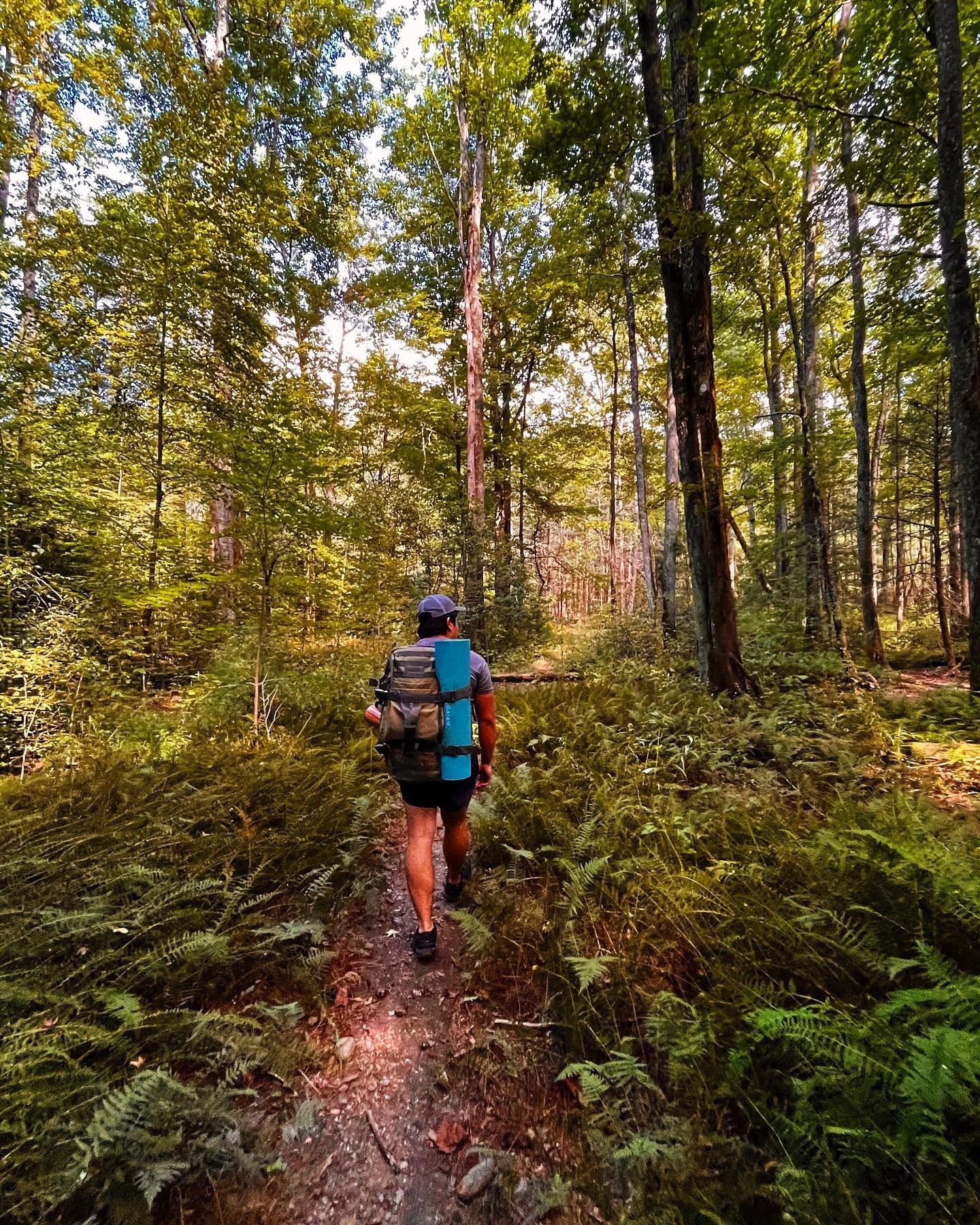 Backpacker with a foam pad strapped to his pack walking a narrow dirt trail through waist high ferns in summer forest