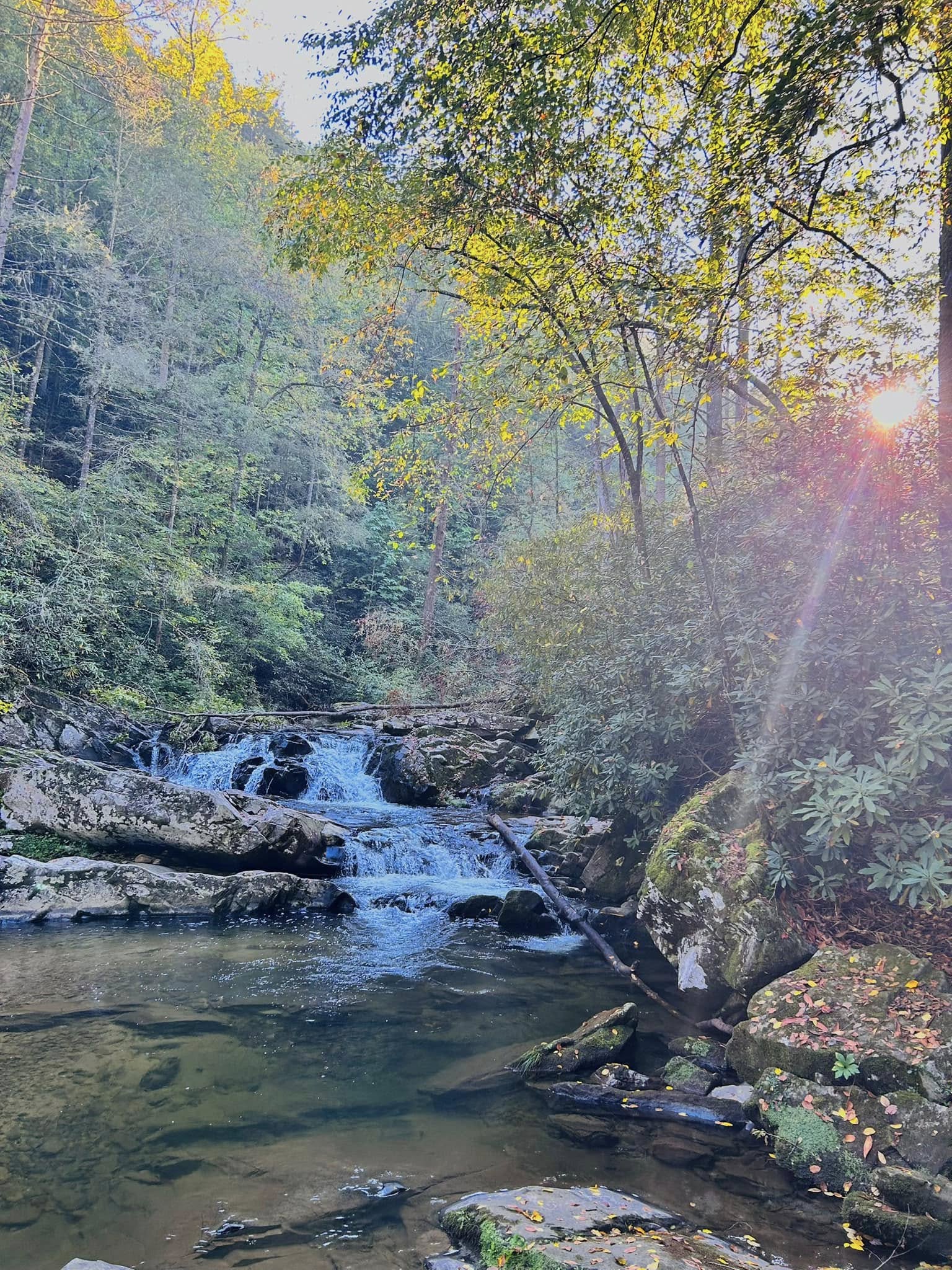 Holly Creek watershed in the Cohutta Wilderness