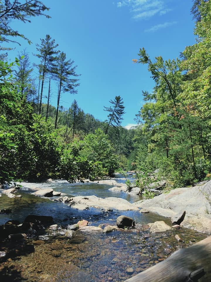 Jacks River watershed in the Cohutta Wilderness