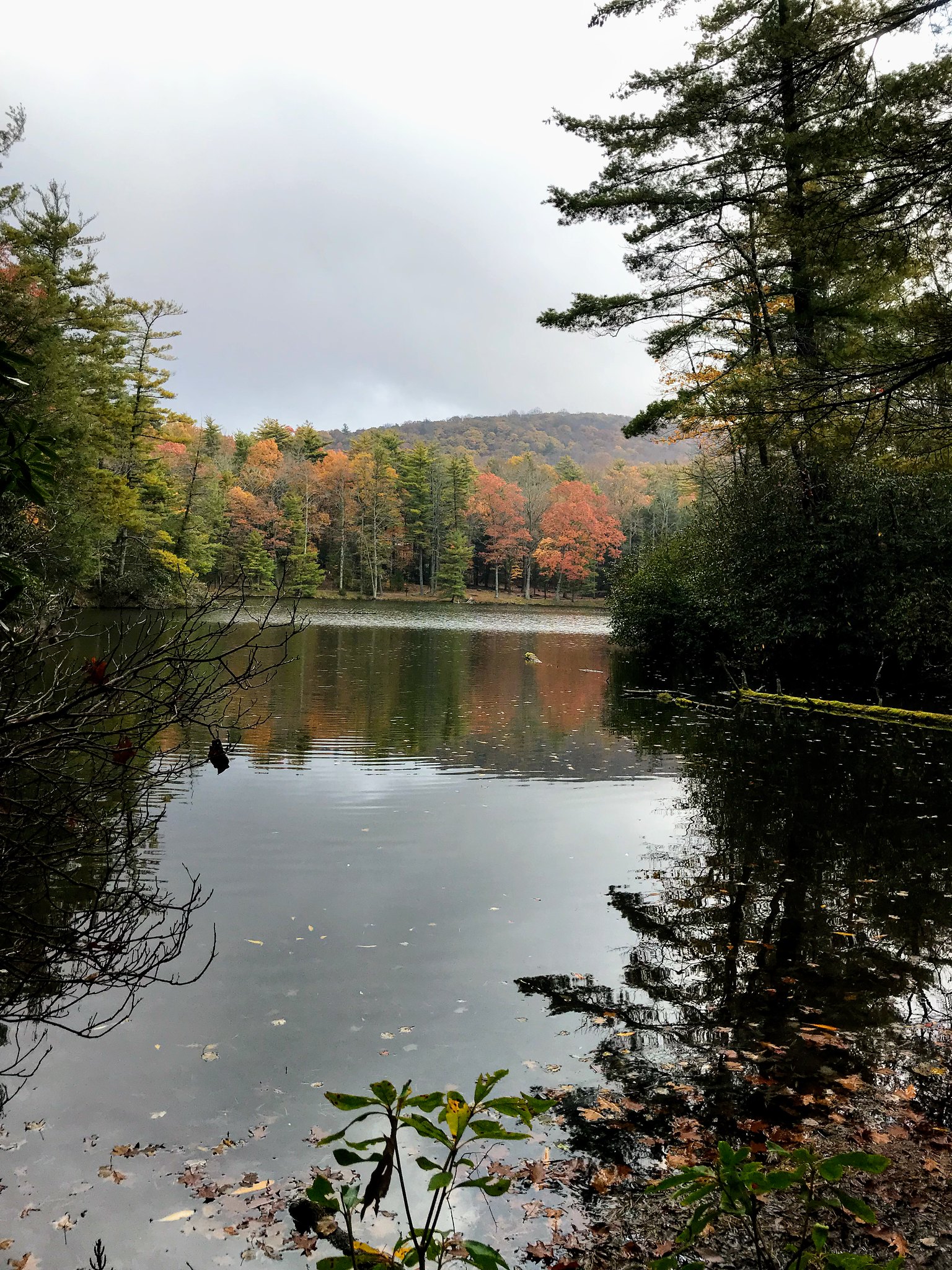 Lake Conasauga on an overcast fall day, with red and orange hardwoods reflected in the still water.