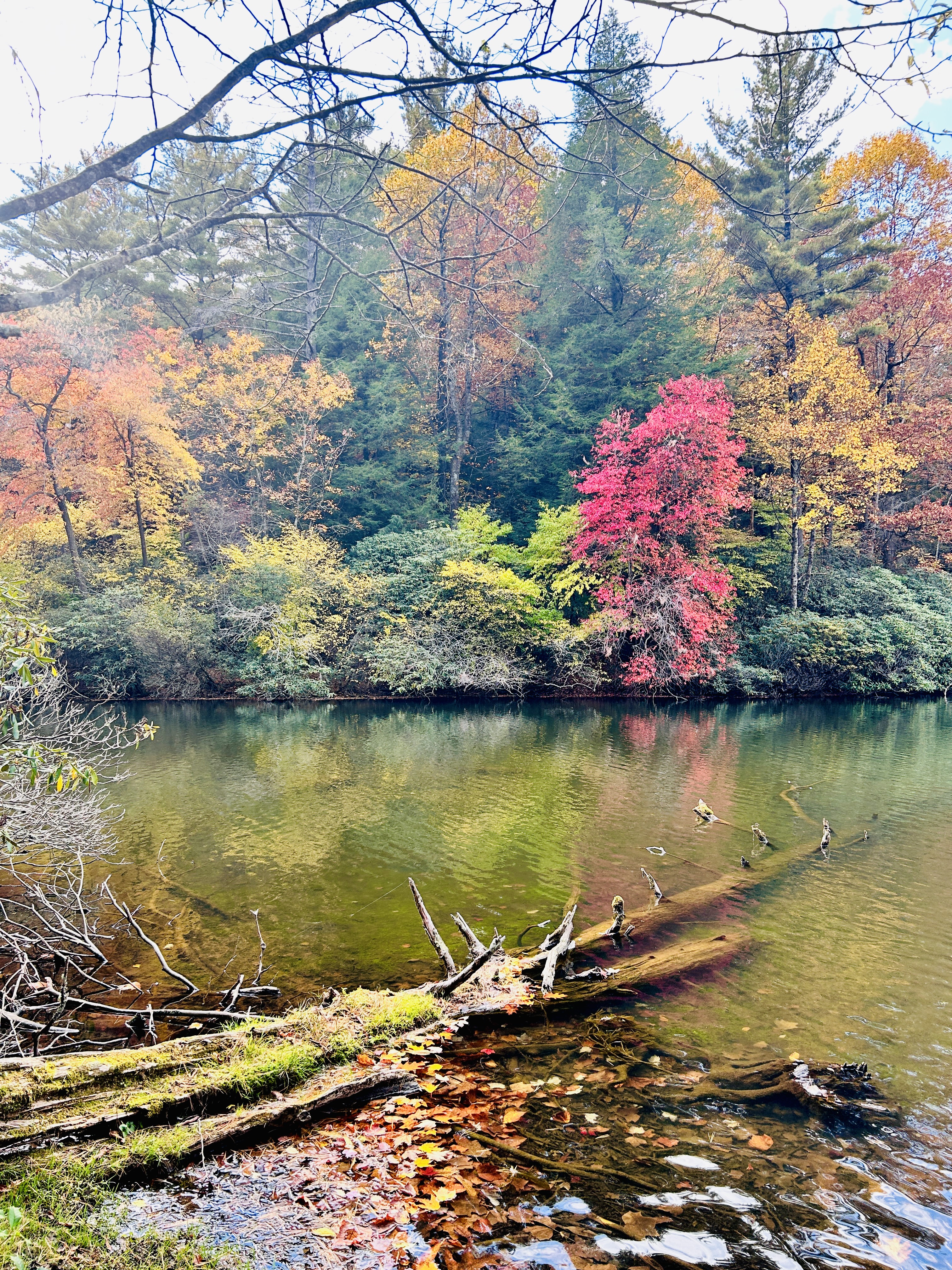 Lake Conasauga from the shore, with still water reflecting the forested ridge and a wooden bench facing the lake on a calm day